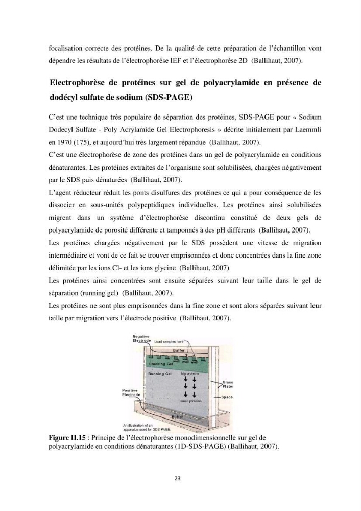 Contribution a la caractérisation systématique et morphologique des poissons :