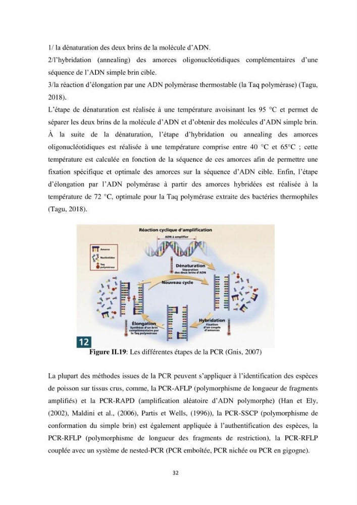 Contribution a la caractérisation systématique et morphologique des poissons :