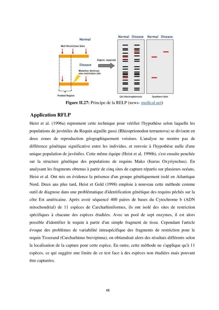 Contribution a la caractérisation systématique et morphologique des poissons :