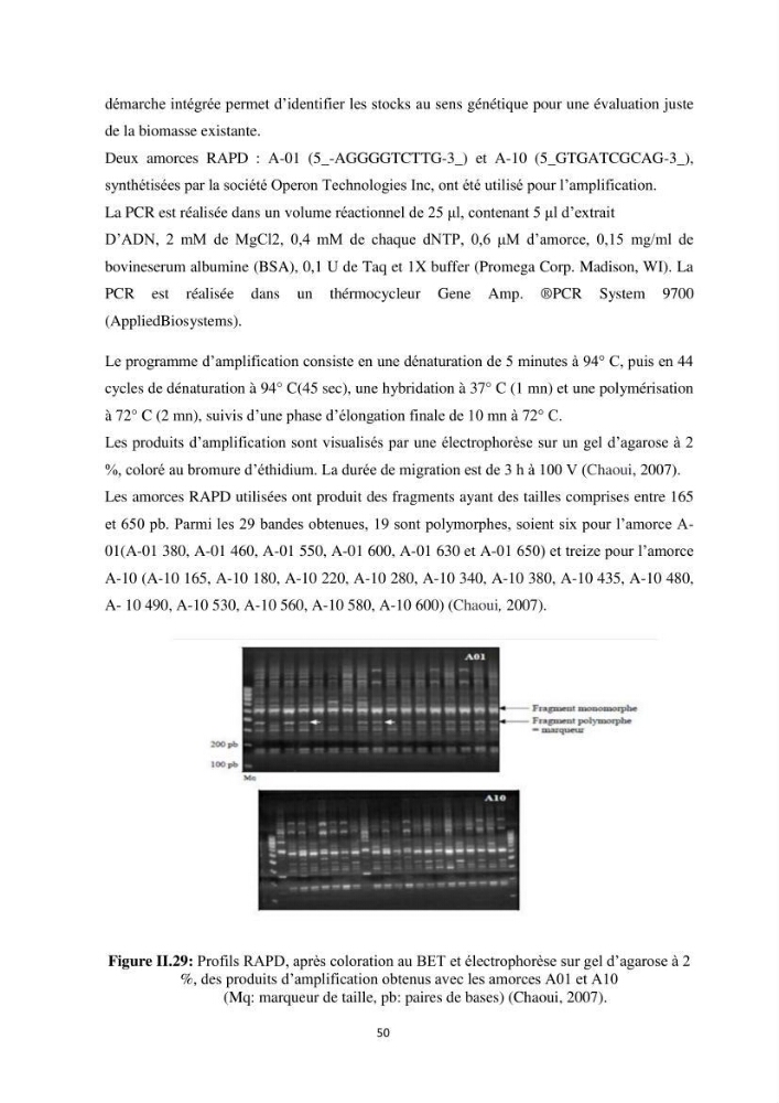 Contribution a la caractérisation systématique et morphologique des poissons :