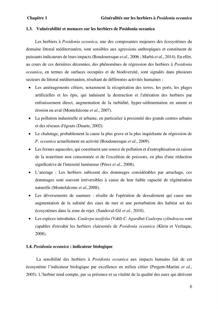 Surveillance de la limite supérieure de l\'herbier à Posidonia océanica du front de mer de la ville de Bou Ismail