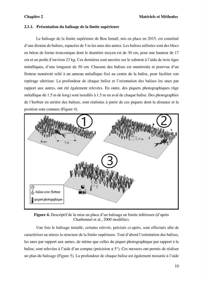 Surveillance de la limite supérieure de l\'herbier à Posidonia océanica du front de mer de la ville de Bou Ismail