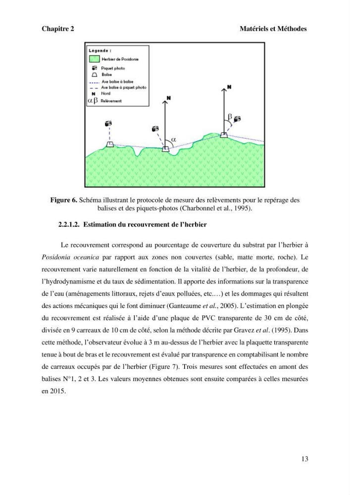 Surveillance de la limite supérieure de l\'herbier à Posidonia océanica du front de mer de la ville de Bou Ismail