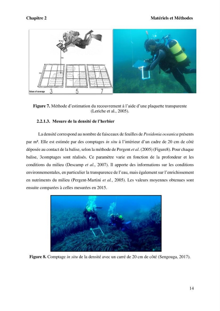 Surveillance de la limite supérieure de l\'herbier à Posidonia océanica du front de mer de la ville de Bou Ismail