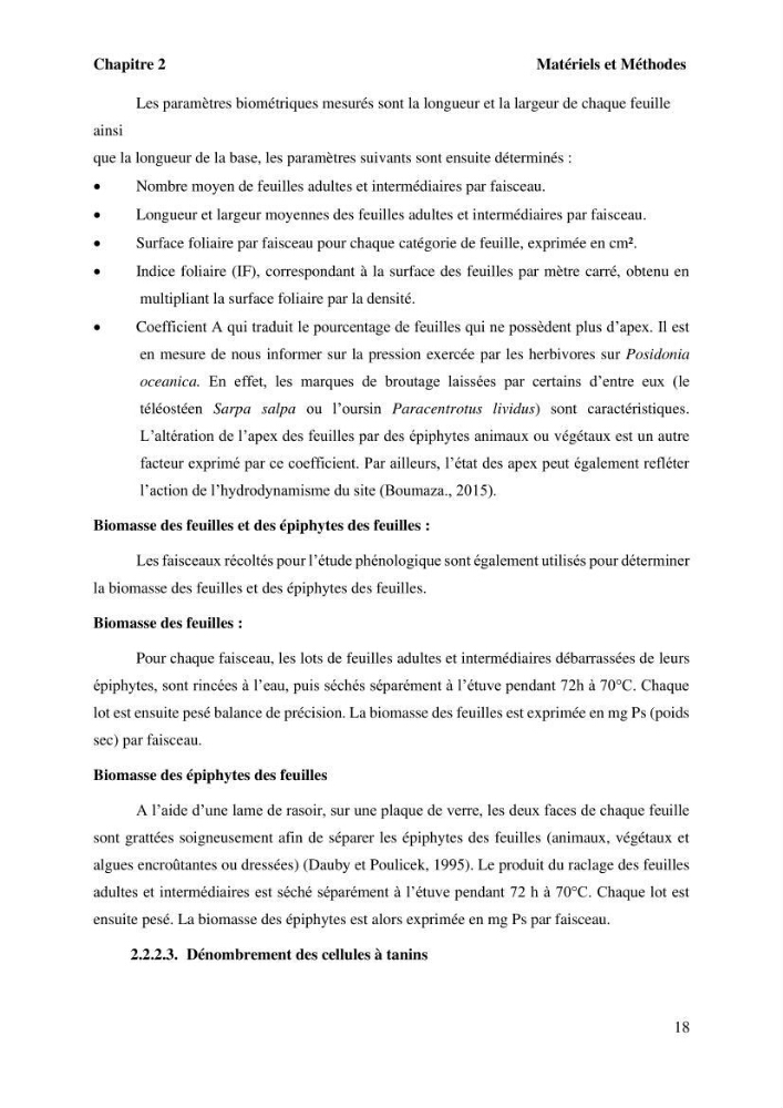Surveillance de la limite supérieure de l\'herbier à Posidonia océanica du front de mer de la ville de Bou Ismail