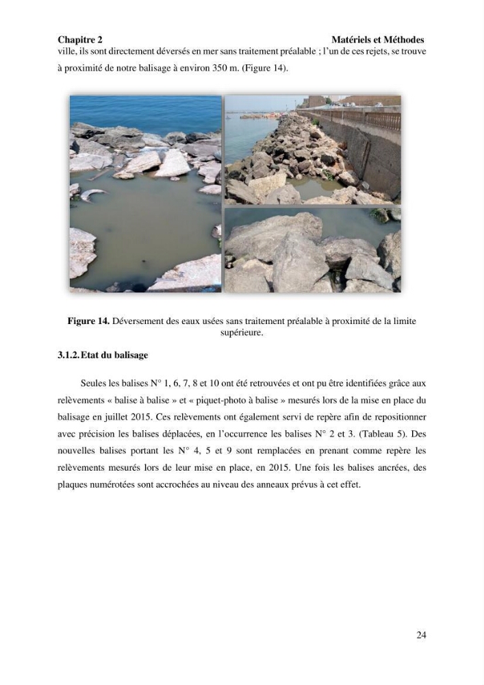 Surveillance de la limite supérieure de l\'herbier à Posidonia océanica du front de mer de la ville de Bou Ismail