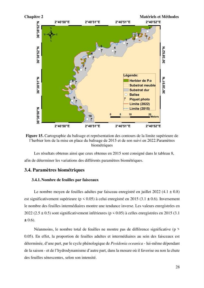 Surveillance de la limite supérieure de l\'herbier à Posidonia océanica du front de mer de la ville de Bou Ismail
