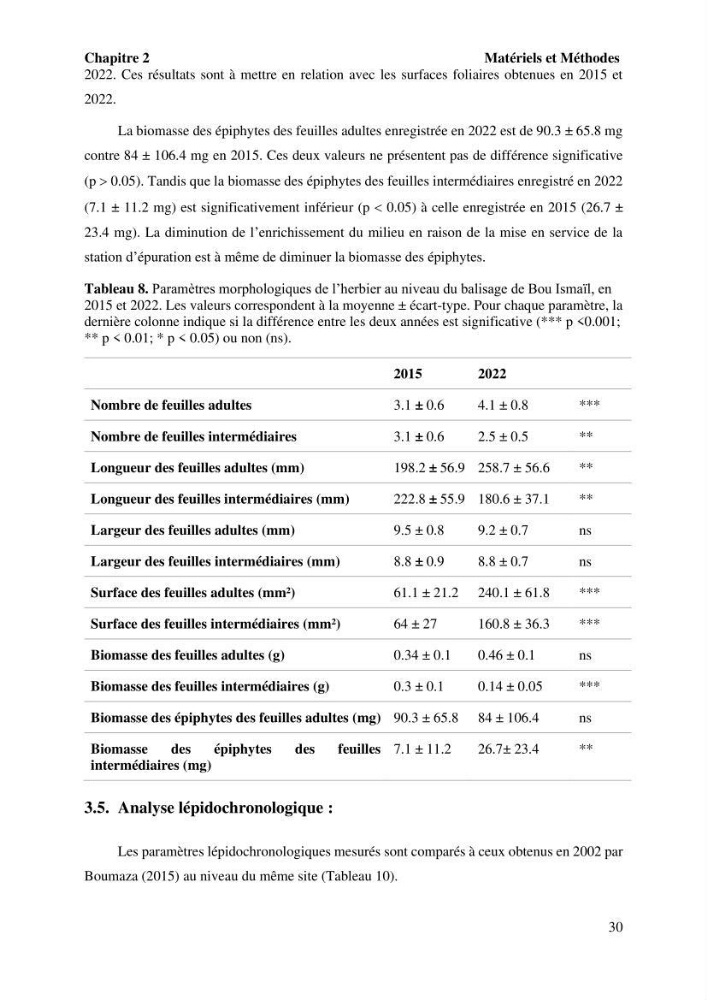 Surveillance de la limite supérieure de l\'herbier à Posidonia océanica du front de mer de la ville de Bou Ismail