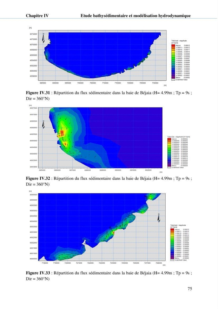 Hydrologie, modélisation hydro-sédimentaire et conception des ouvrages de protection : cas de la baie de Béjaia