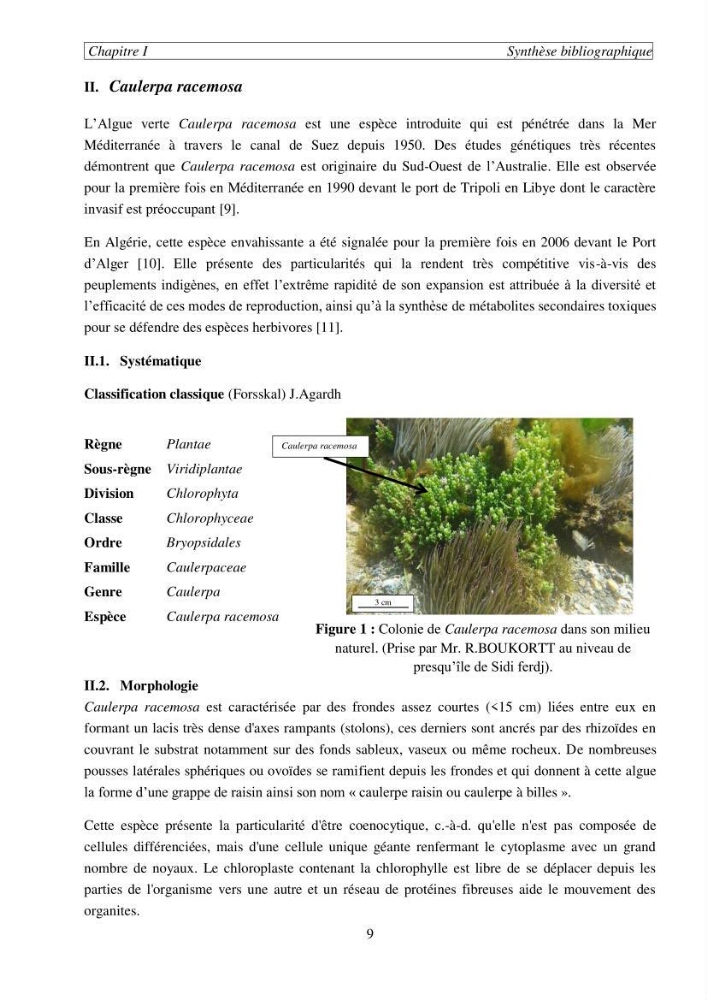 Etude de la rétention de césium en milieu aqueux par un biosorbant