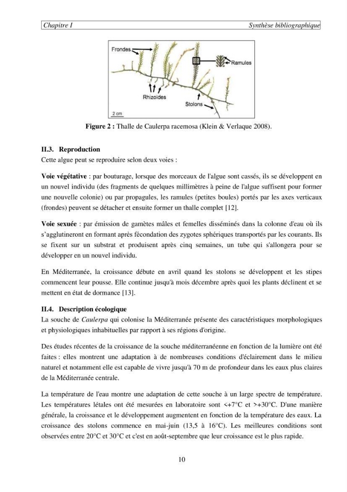 Etude de la rétention de césium en milieu aqueux par un biosorbant