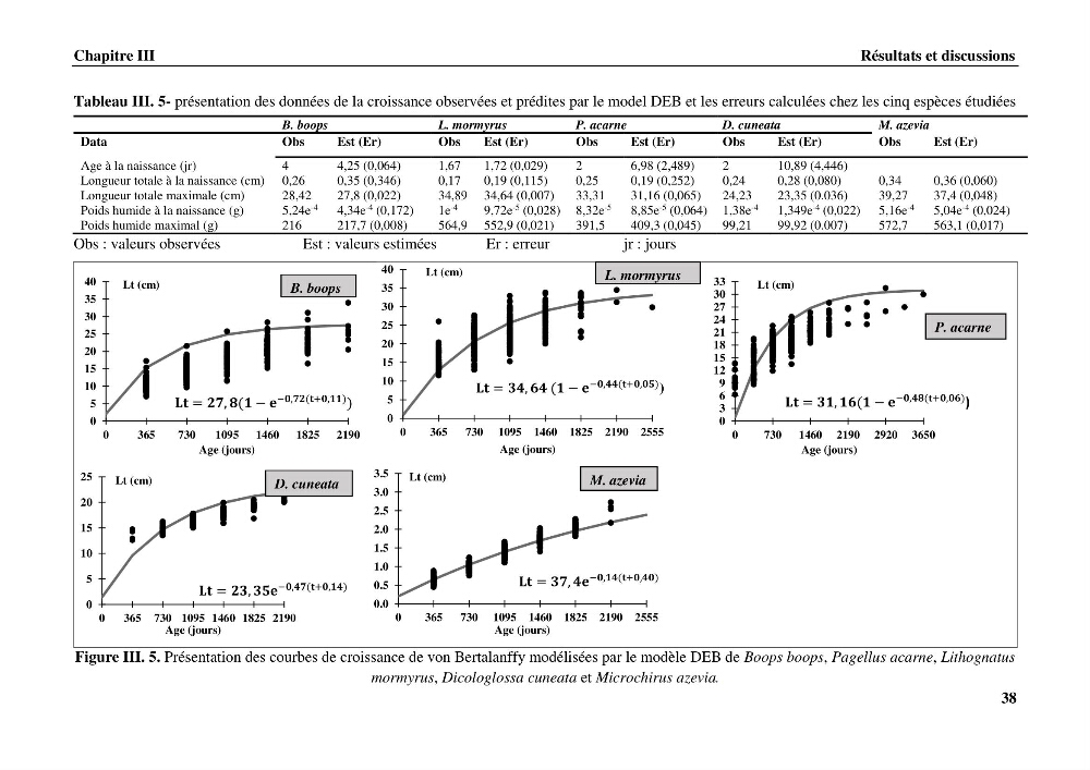 Estimation des paramètres du modèle bioénergétique DEB (Dynamic Energy Budget) pour étudier la croissance et la reproduction de quelques espèces de Sparidae et de Soleidae des côtes algériennes.