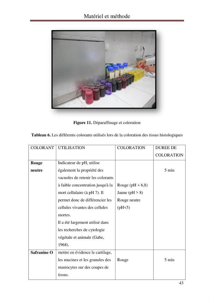 Mise en place d\'indicateurs écotoxicologiques pour la surveillance et l\'évaluation de la pollution marine (indice hépatique et gonadique des poissons):