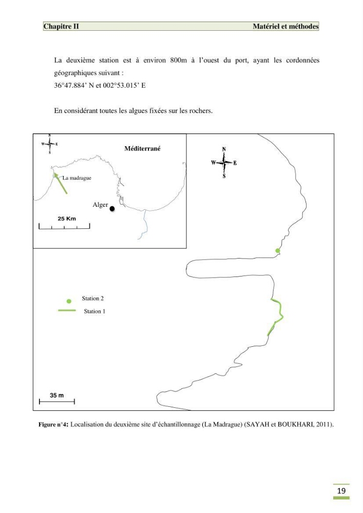 Etude de la flore algale de la région ouest d\' Alger