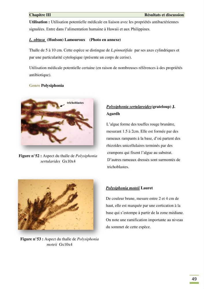 Etude de la flore algale de la région ouest d\' Alger
