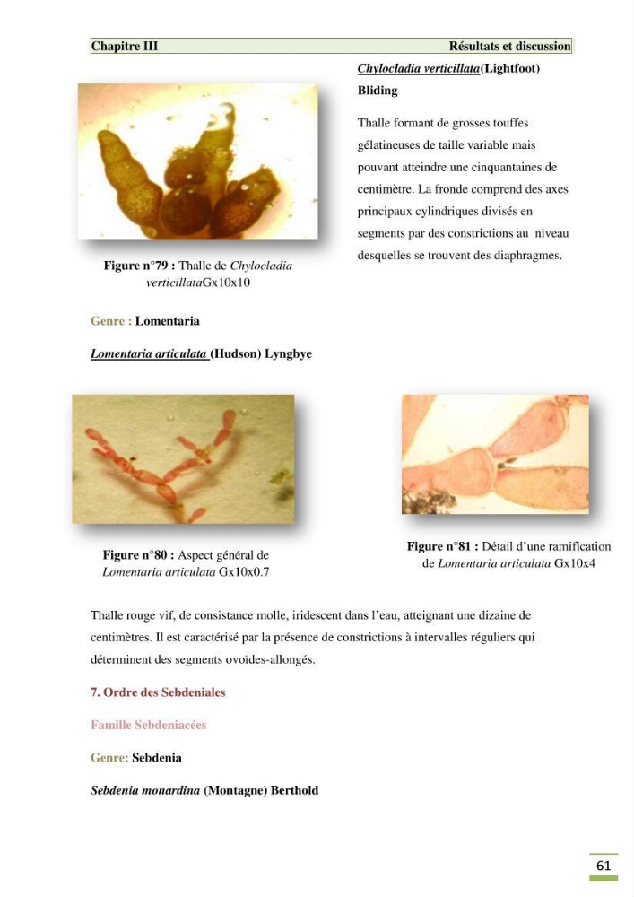 Etude de la flore algale de la région ouest d\' Alger