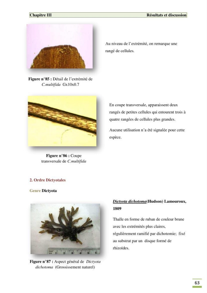 Etude de la flore algale de la région ouest d\' Alger