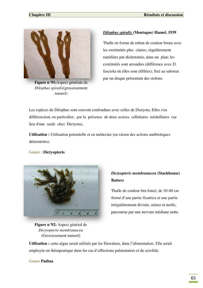 Etude de la flore algale de la région ouest d\' Alger