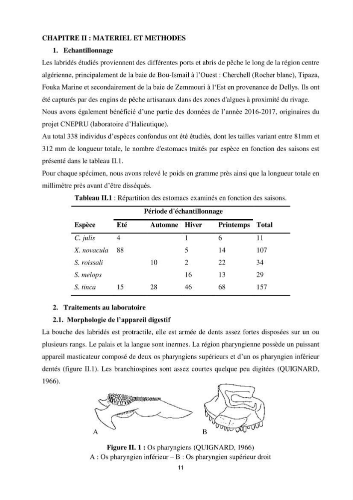Contribution à l’étude comparative des stratégies alimentaires de cinq espèces de Labridae (Téléostéens, Perciformes) du bassin algérien.