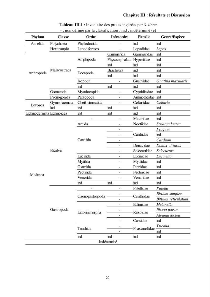 Contribution à l’étude comparative des stratégies alimentaires de cinq espèces de Labridae (Téléostéens, Perciformes) du bassin algérien.