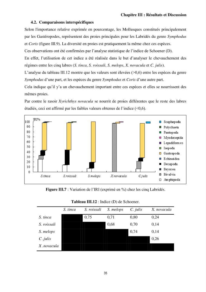 Contribution à l’étude comparative des stratégies alimentaires de cinq espèces de Labridae (Téléostéens, Perciformes) du bassin algérien.
