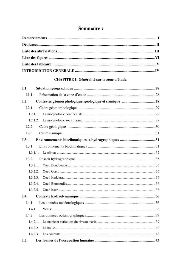Processus morpho-sédimentaire et évolution multi-échelle de la plage front de mer de la ville de boumerdes