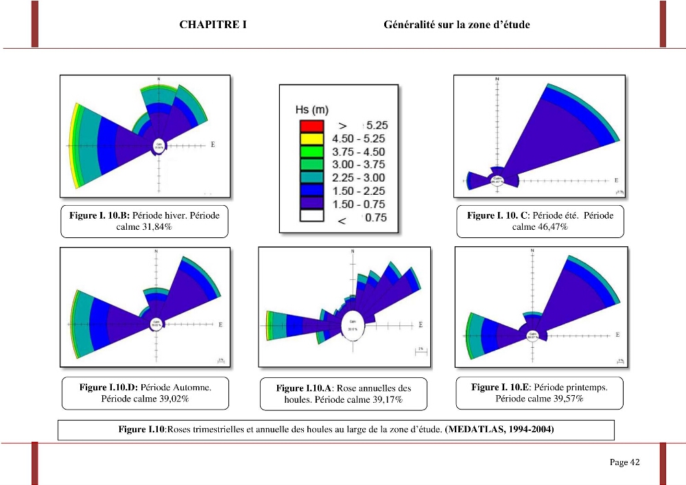 Processus morpho-sédimentaire et évolution multi-échelle de la plage front de mer de la ville de boumerdes