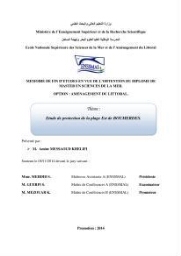 Etude de protection de la plage Est de Boumerdes