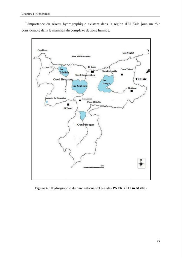 Etude biosédimentologique de la partie marine du parc d\'El-Kala