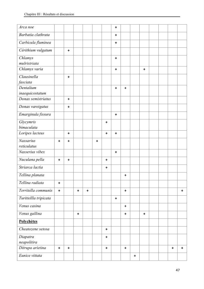Etude biosédimentologique de la partie marine du parc d\'El-Kala