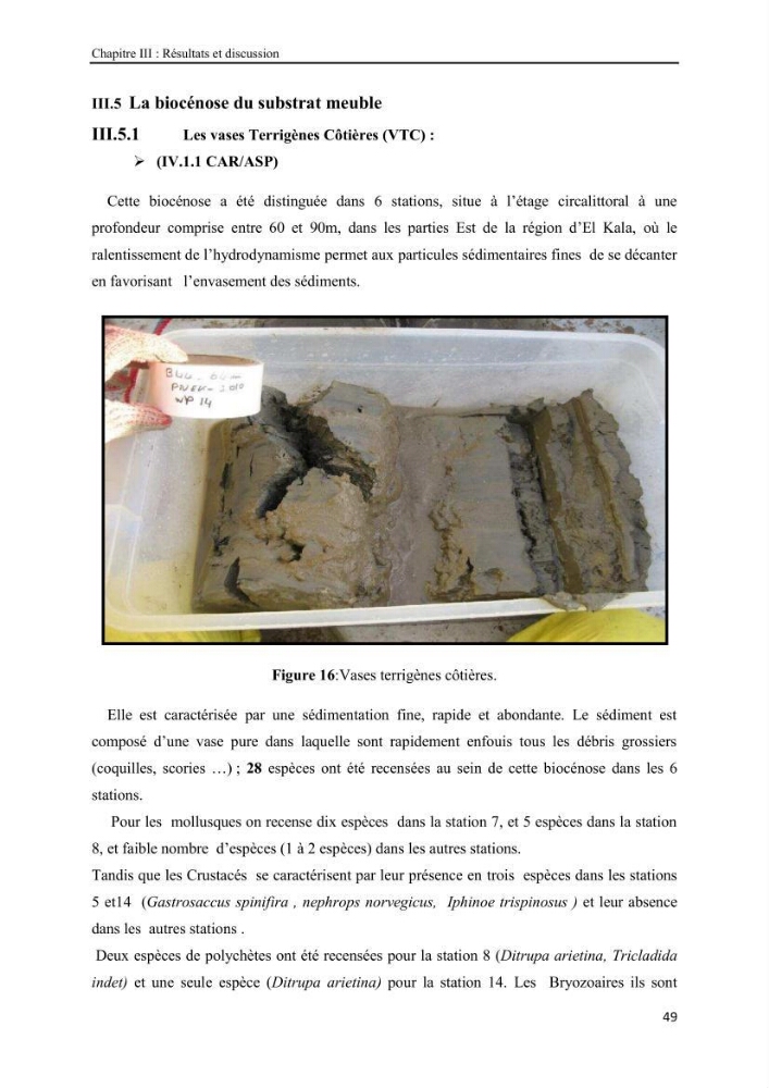 Etude biosédimentologique de la partie marine du parc d\'El-Kala