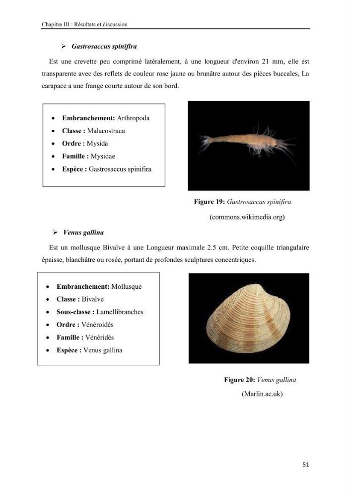 Etude biosédimentologique de la partie marine du parc d\'El-Kala
