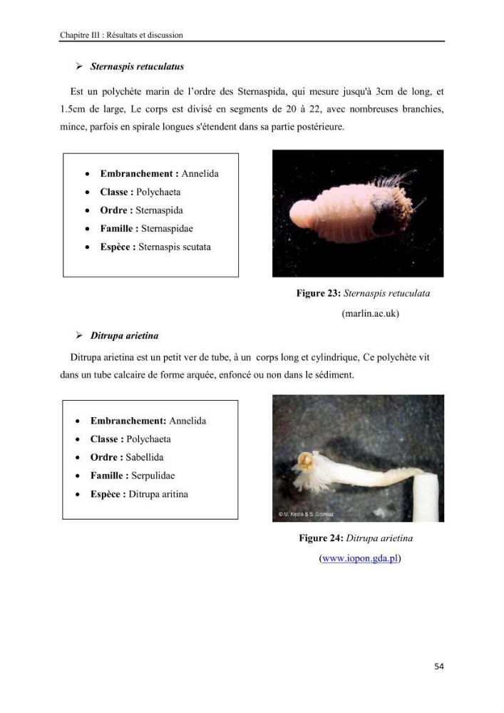 Etude biosédimentologique de la partie marine du parc d\'El-Kala