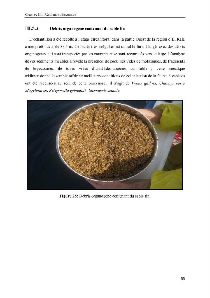 Etude biosédimentologique de la partie marine du parc d\'El-Kala
