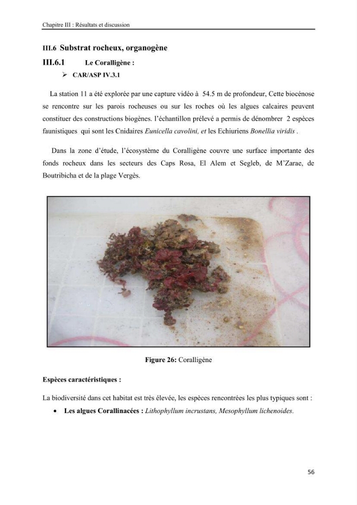 Etude biosédimentologique de la partie marine du parc d\'El-Kala