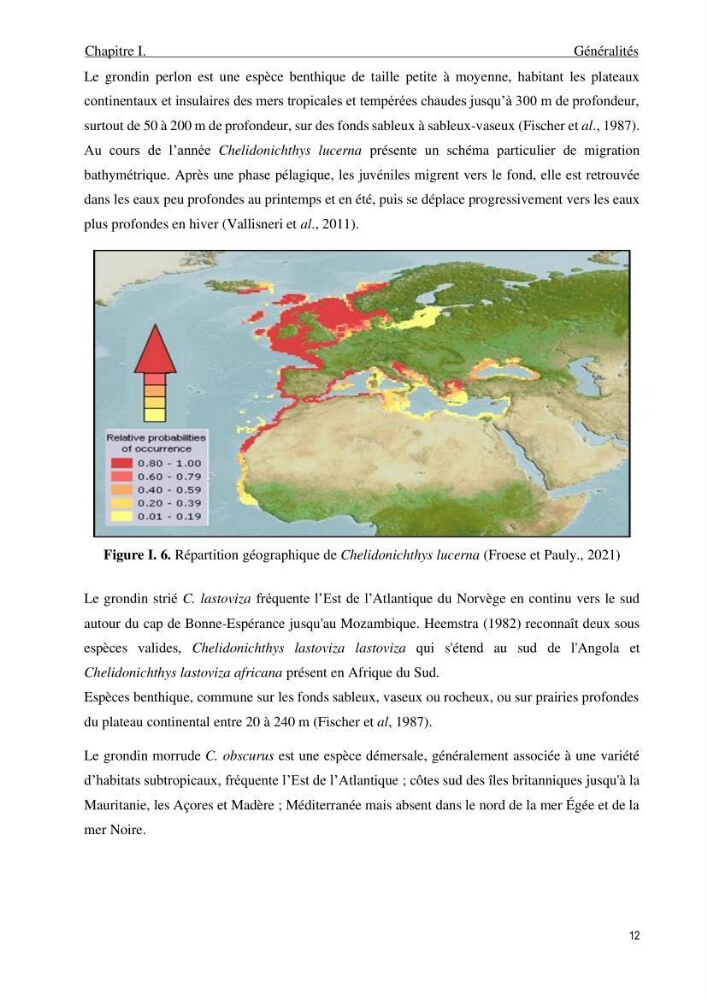 Contribution à l\'étude de la croissance et de l\'exploitation du genre Chelidonichthys ( Actinopteri, Triglidae) dans la côte Algérienne: