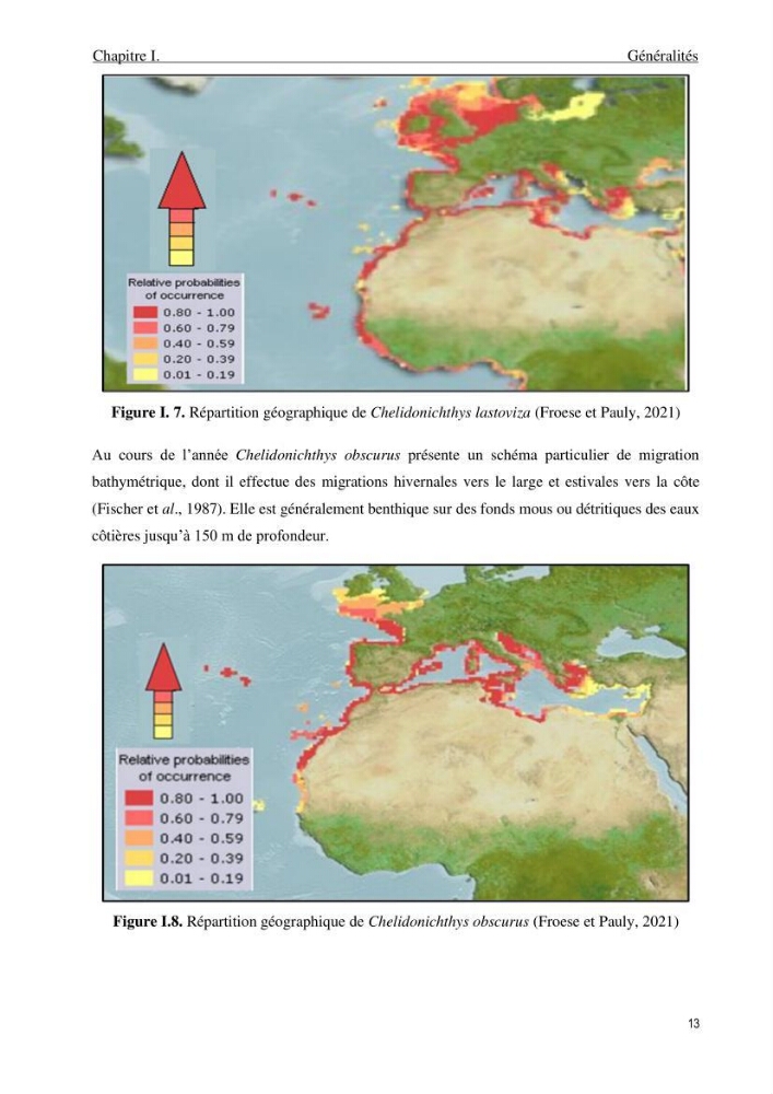 Contribution à l\'étude de la croissance et de l\'exploitation du genre Chelidonichthys ( Actinopteri, Triglidae) dans la côte Algérienne: