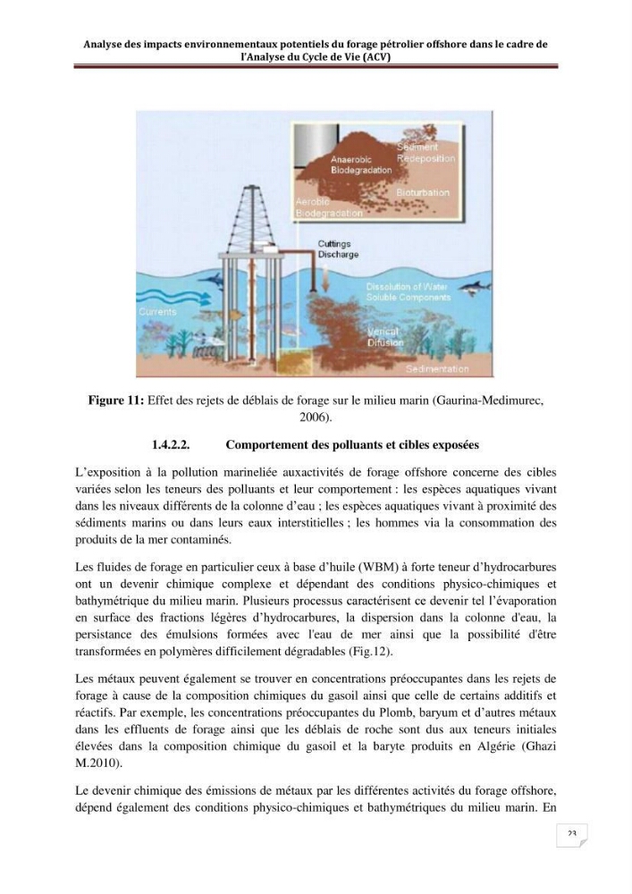 Analyse des impacts environnementaux potentiels du forage pétrolier offshore dans le cadre de l’Analyse du Cycle de Vie (ACV):