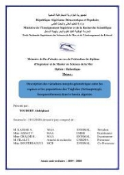 Description des variations morpho-géométrique entre les espèces et les populations des Triglidae (Actinopterygii, Scorpaeniformes) dans le bassin algérien