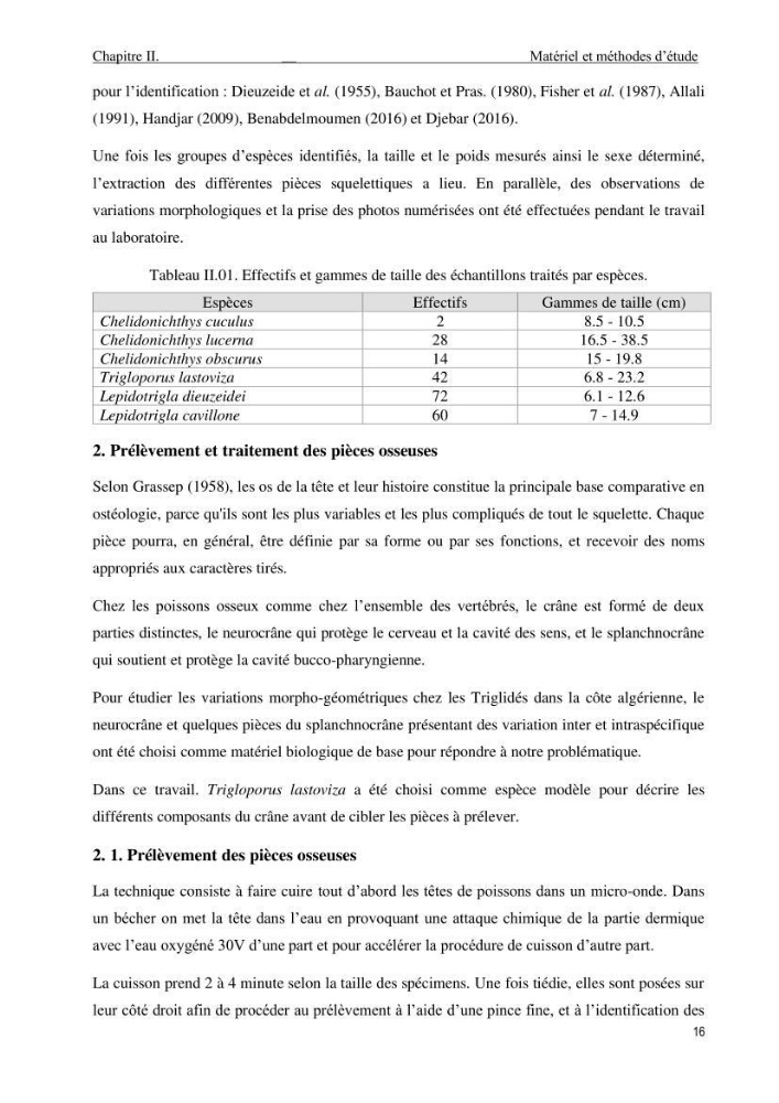 Description des variations morpho-géométrique entre les espèces et les populations des Triglidae (Actinopterygii, Scorpaeniformes) dans le bassin algérien