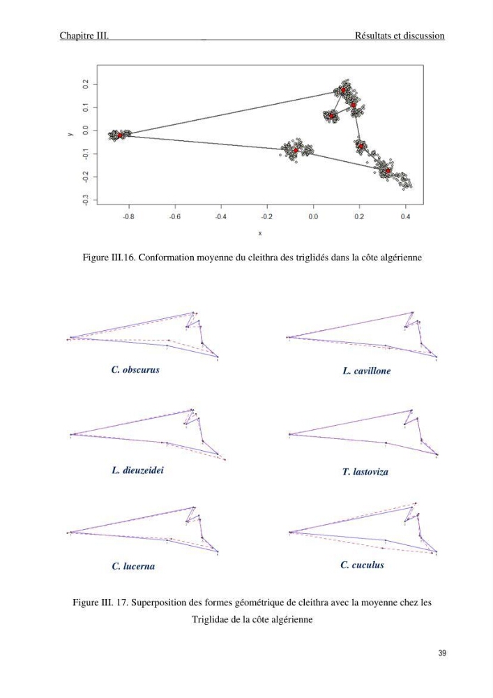 Description des variations morpho-géométrique entre les espèces et les populations des Triglidae (Actinopterygii, Scorpaeniformes) dans le bassin algérien