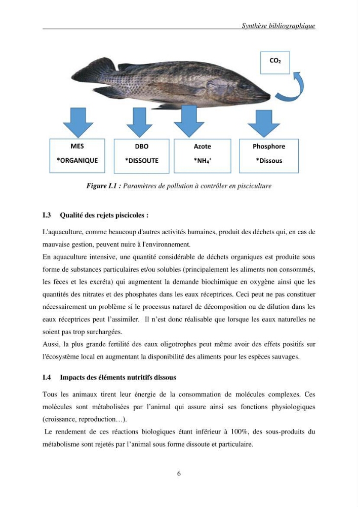 Etude du procédé hybride couplant l’adsorption et la photocatalyse. Application au traitement des effluents issus des fermes piscicoles.: