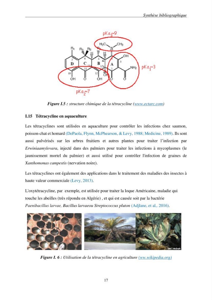 Etude du procédé hybride couplant l’adsorption et la photocatalyse. Application au traitement des effluents issus des fermes piscicoles.: