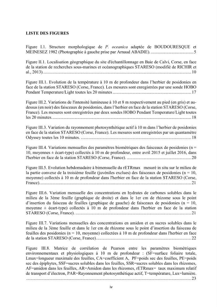 Etude échophysiologique de Posidonia oceanica (L.) Delile