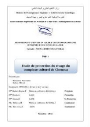 Etude de protection du rivage du complexe culturel de Chenoua
