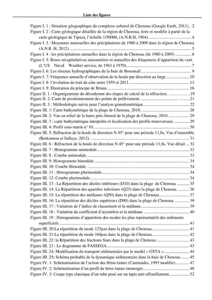 Etude de protection du rivage du complexe culturel de Chenoua