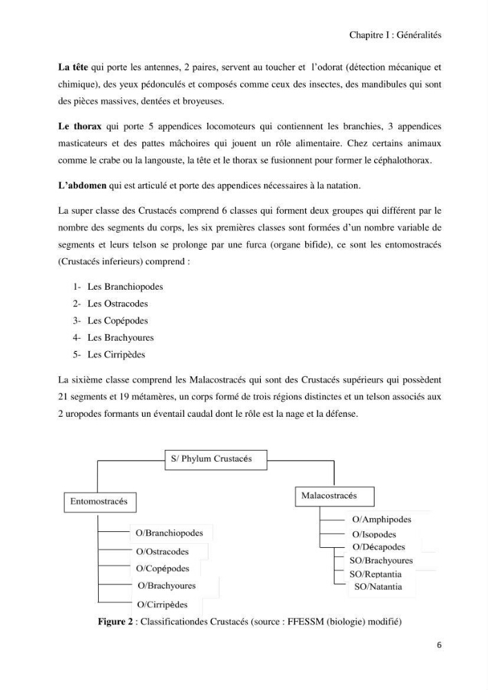 Actualisation de l’Inventaire National des Mollusques et des Crustacés de la côte algérienne: