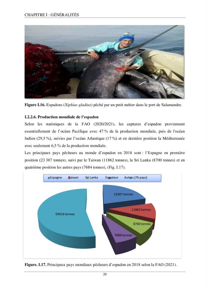 Etude d\'impact de la reconversion d\'éspadonniers en senneurs sur les éspèces cibles notament: l’espadon Xiphias gladius (Linnaeus, 1758) et la sardine Sardina pilchardus (Walbaum, 1792) dans la baie de Mostaganem.