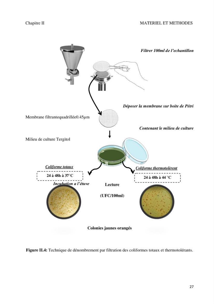 Suivi de la qualité microbiologique et physicochimique des eaux de baignade.