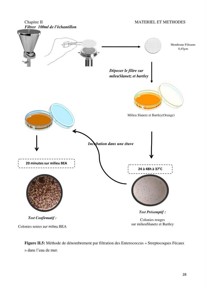Suivi de la qualité microbiologique et physicochimique des eaux de baignade.
